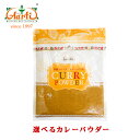 【ポッキリ価格】5種類から選べる オリジナルカレーパウダー レシピ付き 400g ゆうパケット送料無料Aarti Original Curry Powder ミックススパイス カレー粉 ヘルシー 時短カレー あさイチ お買い得 大容量 神戸アールティー