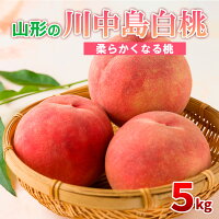 令和7年産 先行予約 桃 もも モモ 川中島 白桃 フルーツ 果物 山形 ...