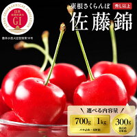 【ふるさと納税】2025年 GI東根 さくらんぼ「 佐藤錦 」 ( 選べる...