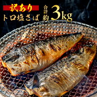 【ふるさと納税】 訳あり トロ 塩さば 約 3kg 大盛り 鯖 さば 塩さ...