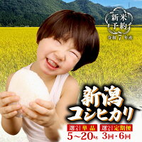 新発田のおいしいお米コンテスト入賞者が作ったコシヒカリ