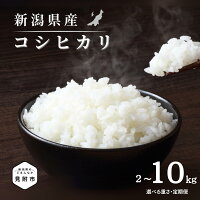 【ふるさと納税】米 お米 精米 白米 無洗米 コシヒカリ こしひかり 令和...