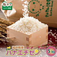 【福井県坂井市】送料無料！2025年産新米をお米をお届けいたします。