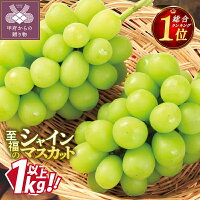 【ふるさと納税】楽天限定 ★総合1位獲得★ 山梨県産 シャイン 2025年...
