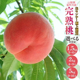 【ふるさと納税】＜25年発送先行予約＞笛吹市産 こだわりの 桃 約1.5kg 〜 約5.0kg 〈選べる内容量〉沖縄・離島配送不可 (常温配送) 期間限定 もも ピーチ 人気 贈答 ギフト 中元 お盆 帰省 旬 果物 フルーツ 山梨県 笛吹市 リピート 高評価 芳醇 選別 送料無料 090-010
