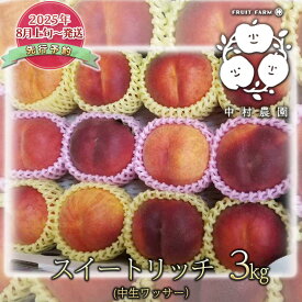 【ふるさと納税】先行予約 スイートリッチ 3kg 中生 ワッサー 桃 ネクタリン 黄桃 硬い桃 果物 くだもの フルーツ 旬の果物 旬のフルーツ 季節の果物 季節のフルーツ 美味しい果物 長野県産 信州 長野 長野県 長野市　お届け：2025年8月上旬～8月下旬