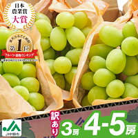 【ふるさと納税】【2025年発送】 訳あり シャインマスカット 3房 / ...