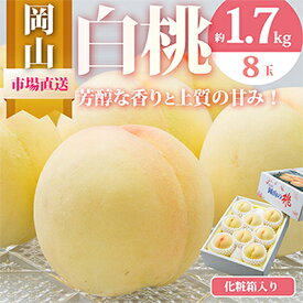 【ふるさと納税】【2025年発送】岡山県産　白桃8玉(1.7kg以上)　化粧箱入り【配送不可地域：離島・北海道・沖縄県】【1281363】