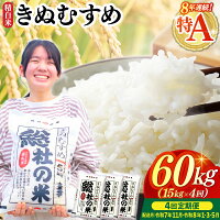 【ふるさと納税】特Aきぬむすめ 米 令和7年産 白米 60kg 定期便（1...