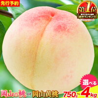 【ふるさと納税】 桃 【先行予約】 岡山県産 岡山の桃 約750g 約1k...