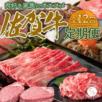 定期便　通年　ふるさと納税定期便　佐賀牛　国産牛 毎月