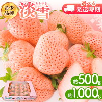 贅沢なご褒美フルーツとしても喜ばれる「淡雪」