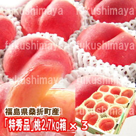 桃 特秀品桃 2.7kg箱×3セット 1箱 7〜15玉入 献上桃の郷 福島県 桑折町産 2025年予約 福島 もも モモ ご家庭用【発送期間:7月上旬頃～-9月中旬頃まで予定】